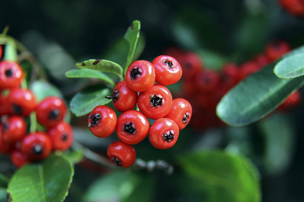 的球門以來 的球門以來