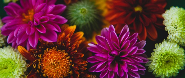 我们不仅看 我们不仅看