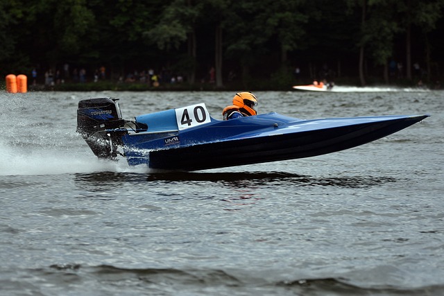 的重要组成 的重要组成