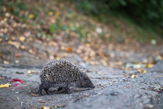 为其量身定 为其量身定