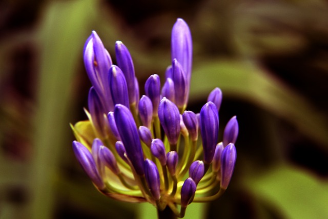 人的辉煌 人的辉煌