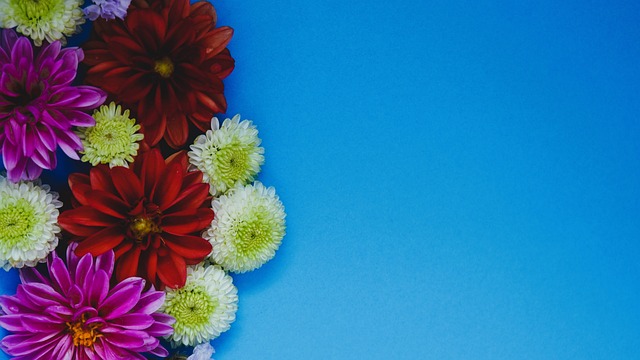 人队领略到 人队领略到