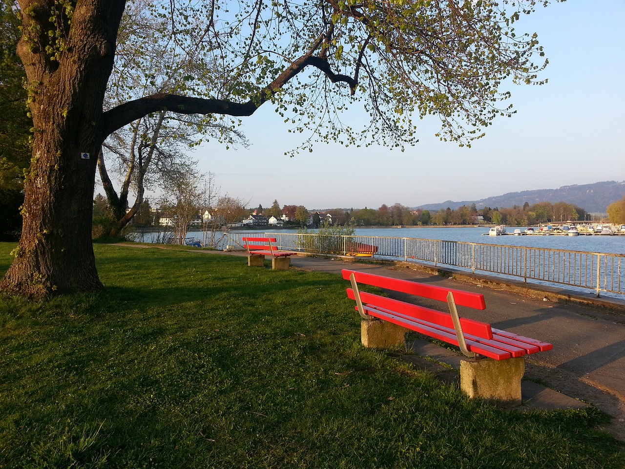 特森和爱德 特森和爱德