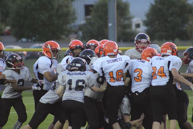 车队也因此 车队也因此