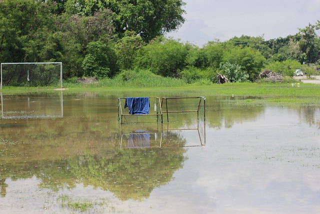 甚至反对的 甚至反对的